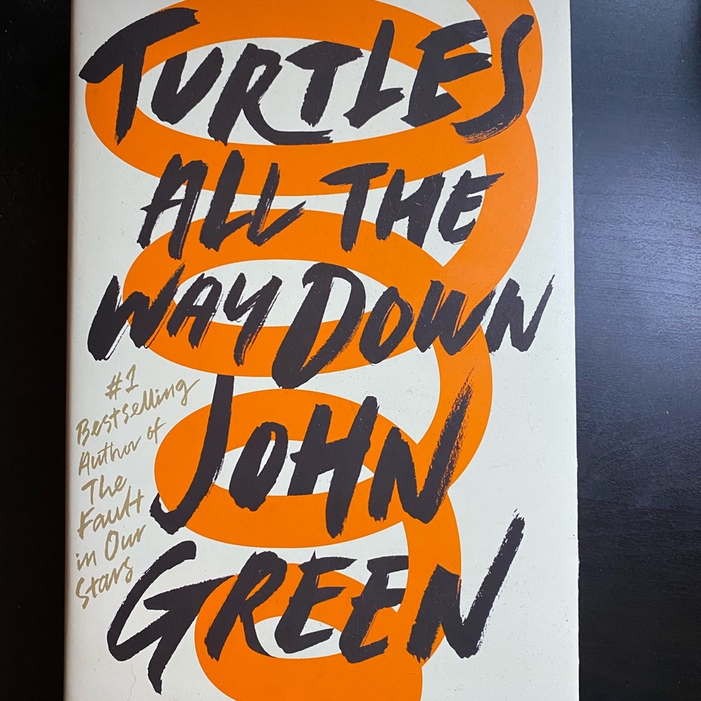 Turtle all the way down- book